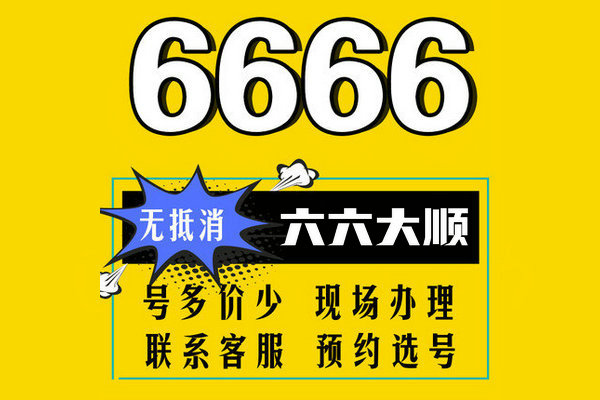 菏泽165开头尾号6666吉祥号出售回收