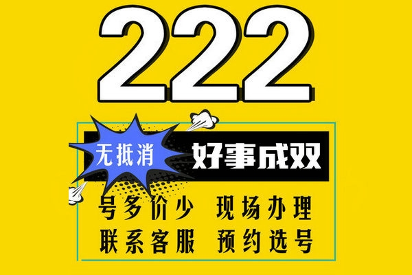 单县178/159号段尾号222吉祥号出售